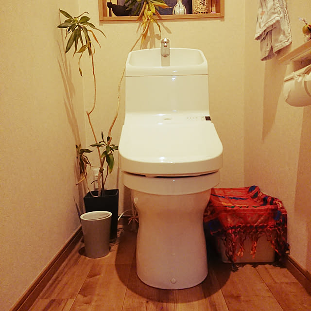 kotaroさんの実例写真