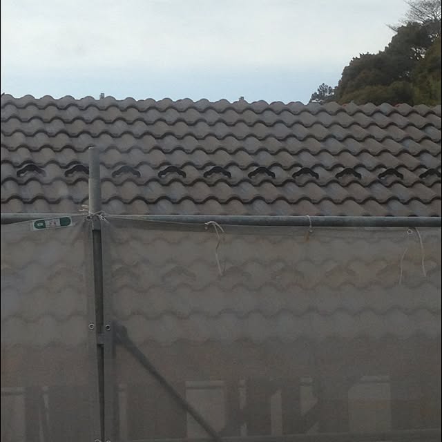 aripiro.MAXさんの実例写真