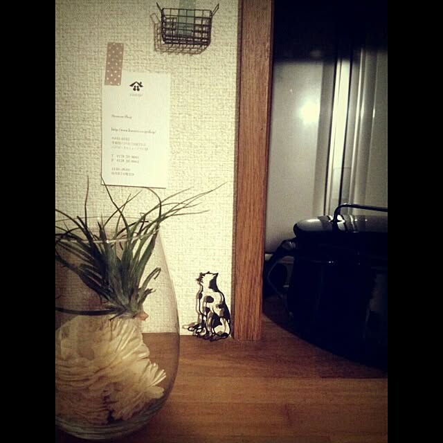 chanさんの実例写真