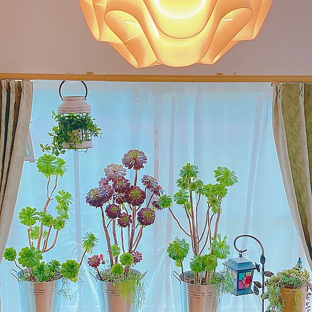 Hanakaさんの部屋