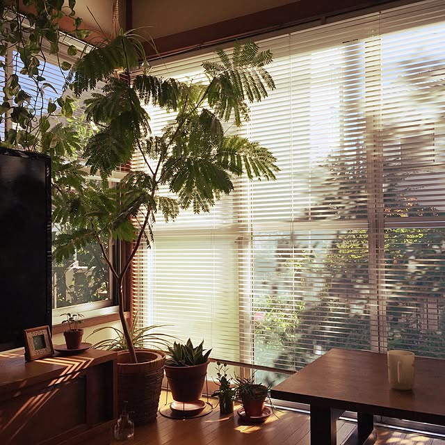 kaothe390さんの実例写真