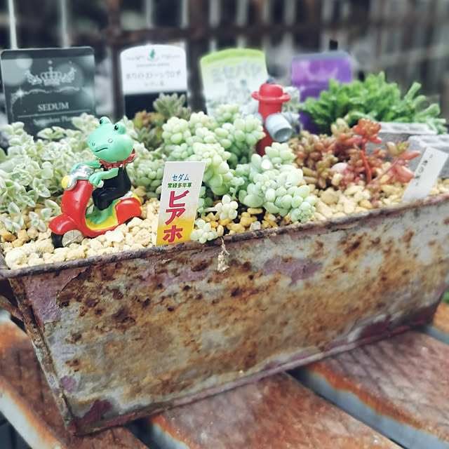 haxtusi301さんの実例写真
