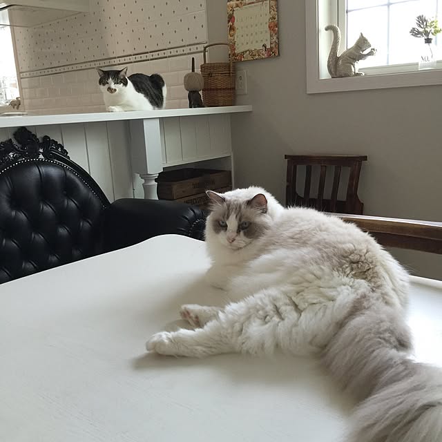 yuchiさんの実例写真