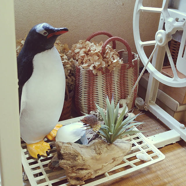 monnさんの実例写真