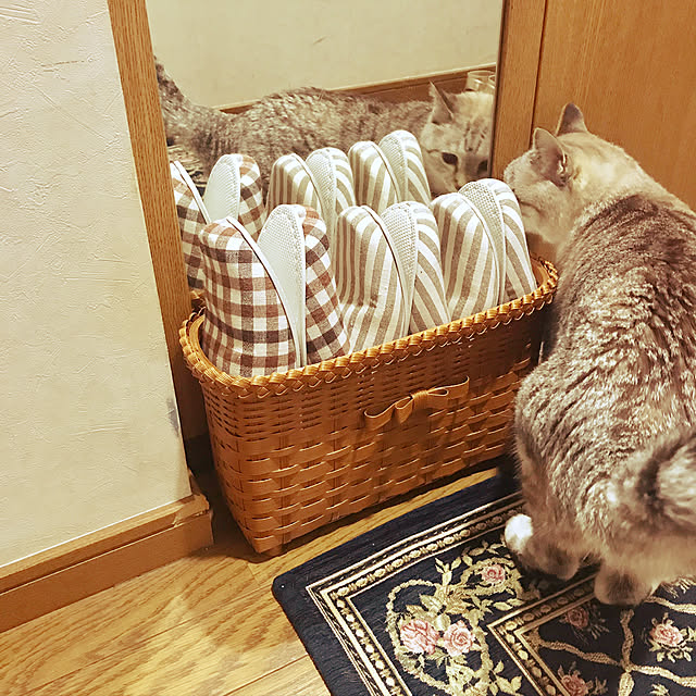 yuko25さんの実例写真