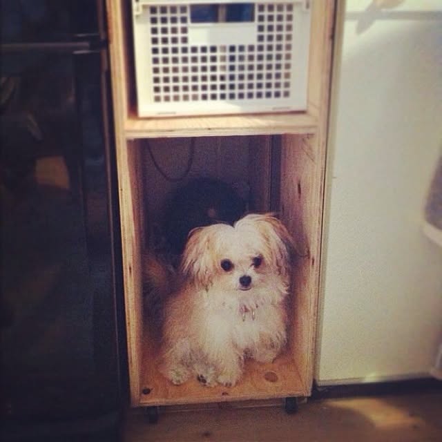 moguracoさんの実例写真
