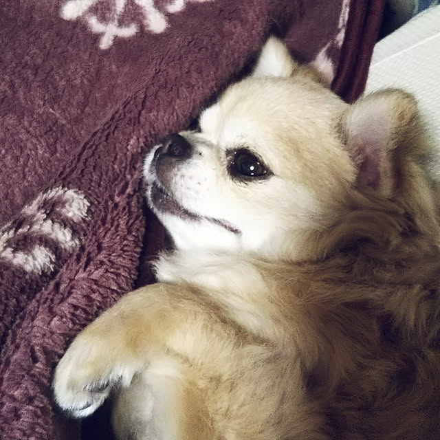 kiraさんの実例写真
