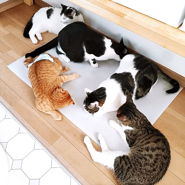 kirakirahikaruさんの実例写真