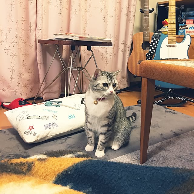 Shojiさんの実例写真