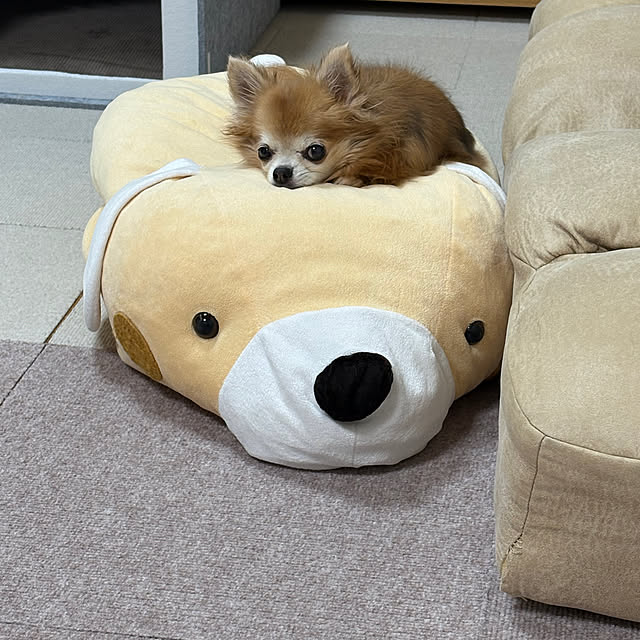 koroさんの部屋