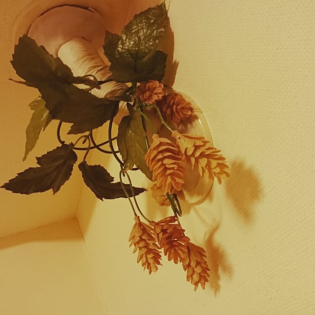 Makikoさんの実例写真