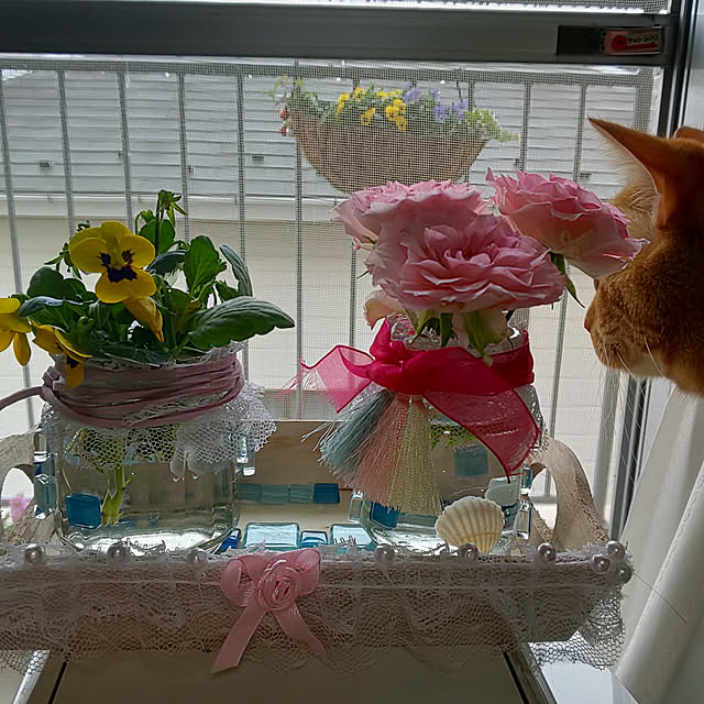 toramamaさんの実例写真