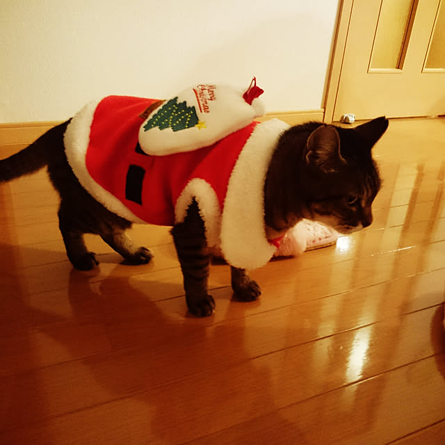 lilyさんの実例写真
