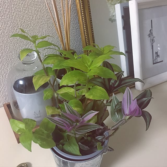 Ray.mさんの実例写真