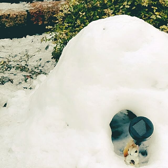rimamさんの実例写真