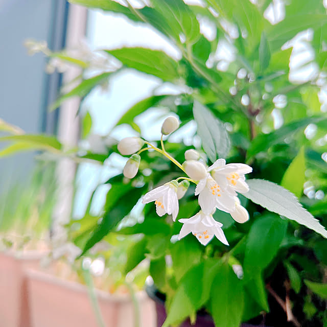 ponme33さんの部屋