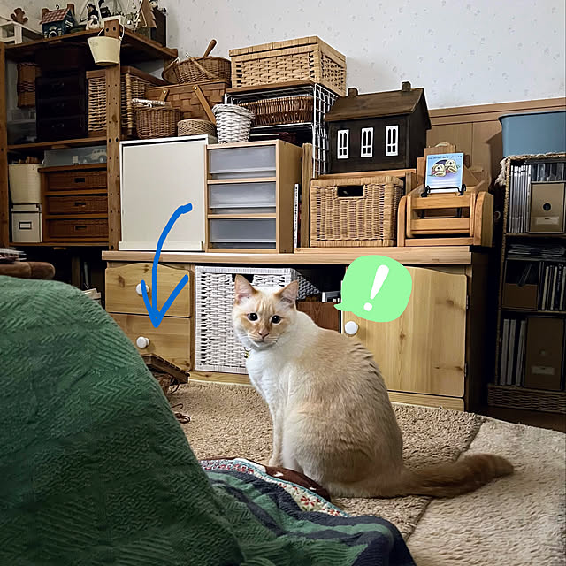 mohhaさんの実例写真