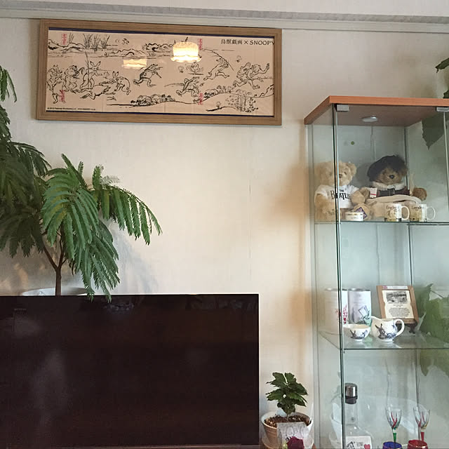 実例写真