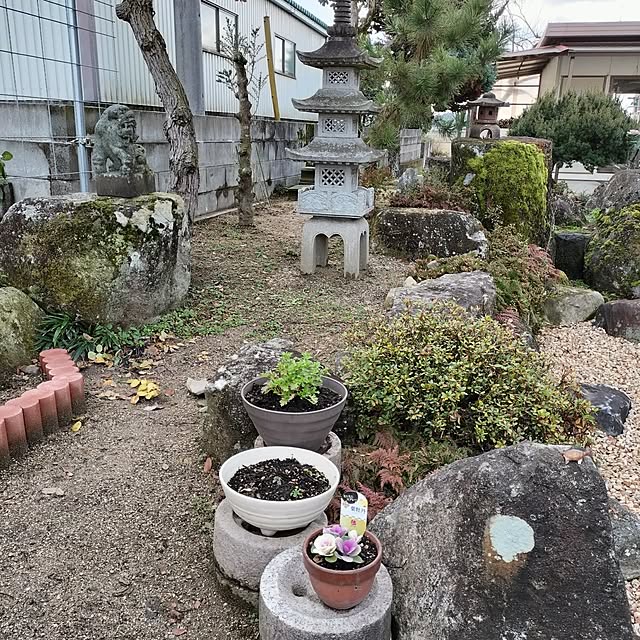 sumimarumiさんの部屋