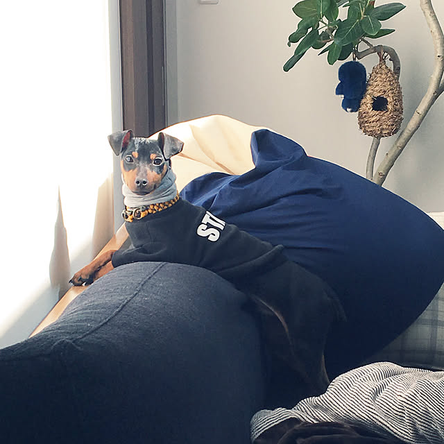 lemonさんの実例写真