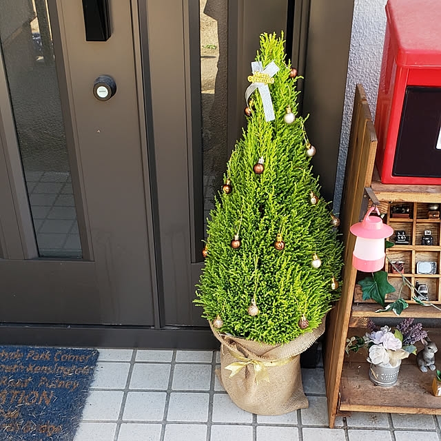 クリスマスツリー コニファーのおすすめ商品とおしゃれな実例 クリスマスツリー コニファーのおすすめ商品とおしゃれな実例