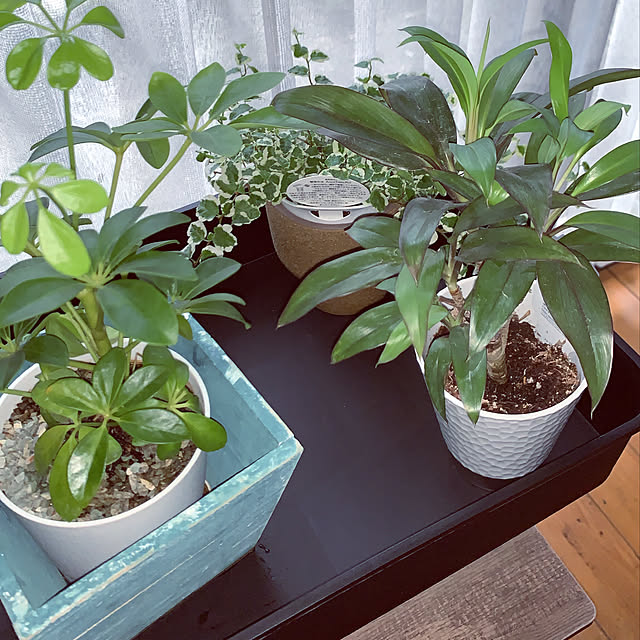 monoさんの部屋