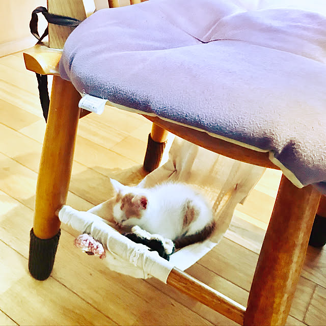 maroさんの実例写真