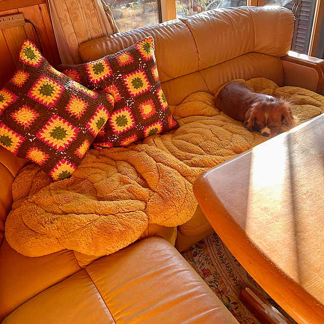 juncocoさんの部屋