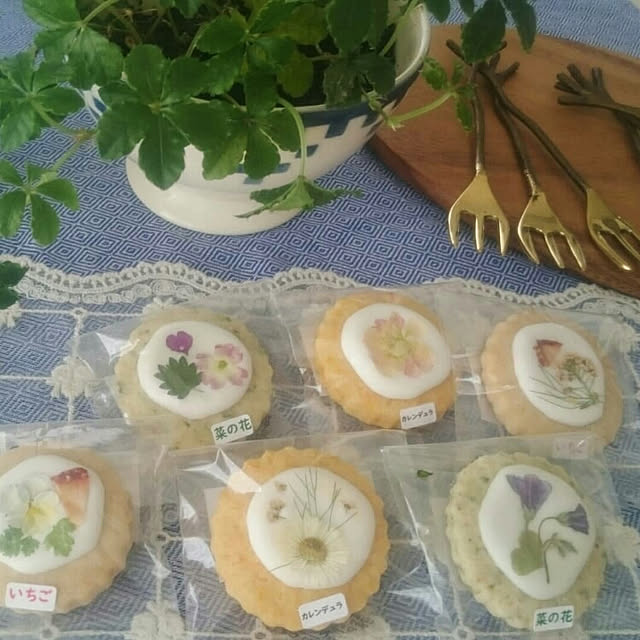 yaikoさんの実例写真