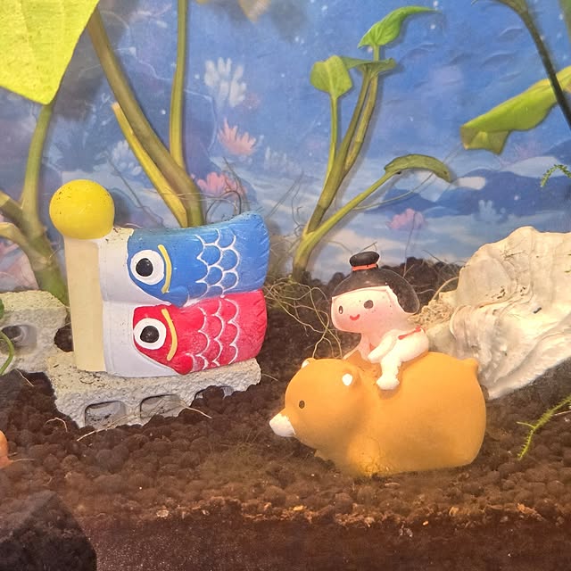 tamiさんの部屋