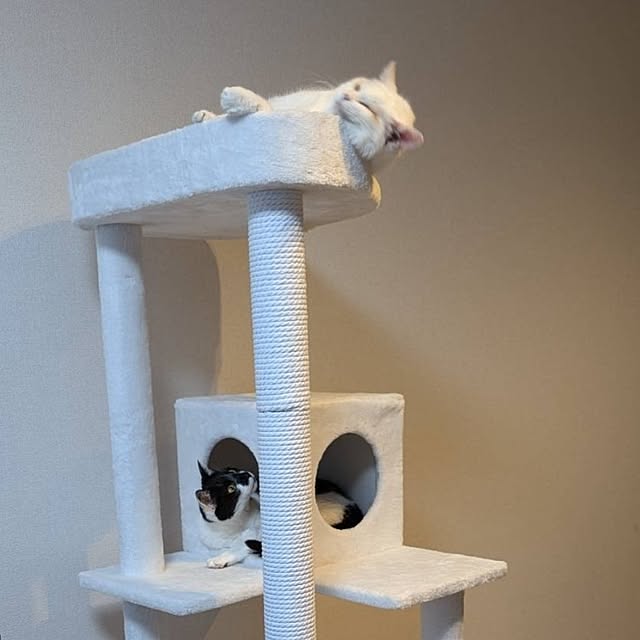 NOAHさんの部屋
