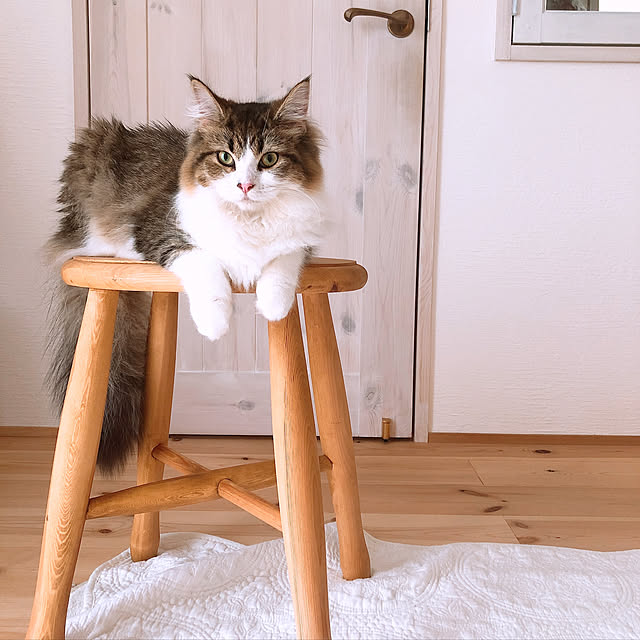 hiroさんの実例写真