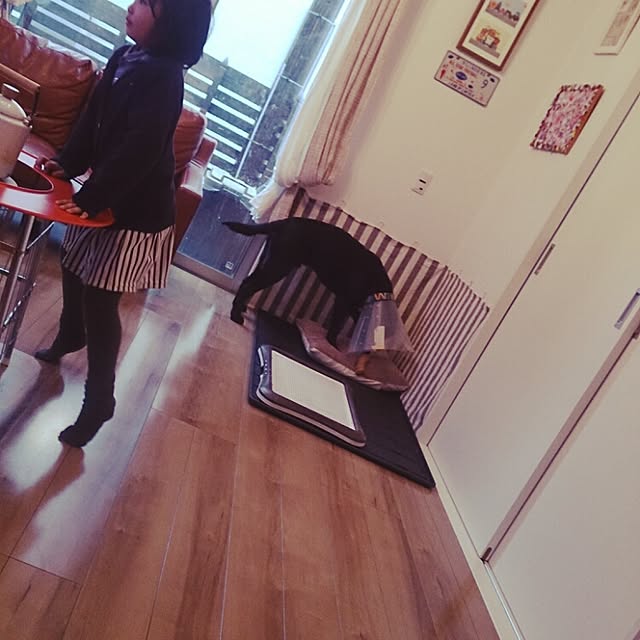 AKARI.Mさんの実例写真