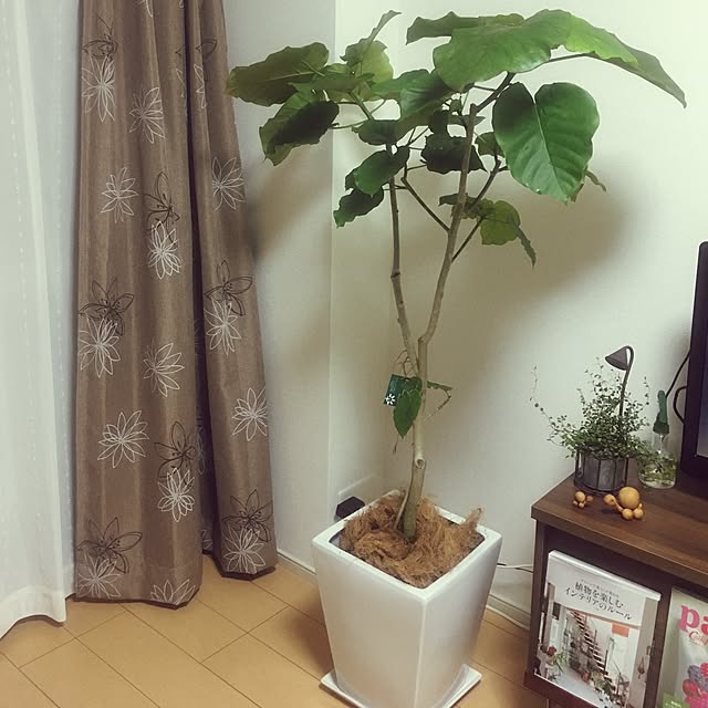 lunlunrinkunさんの実例写真