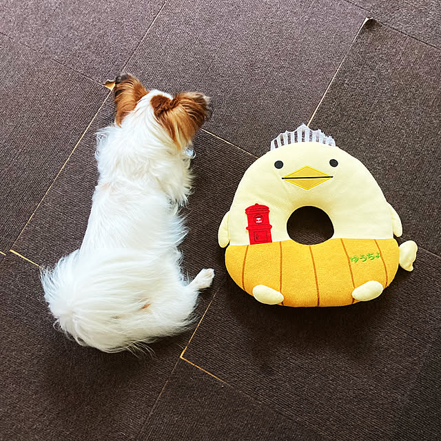Kさんの実例写真