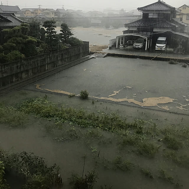 juncoさんの実例写真