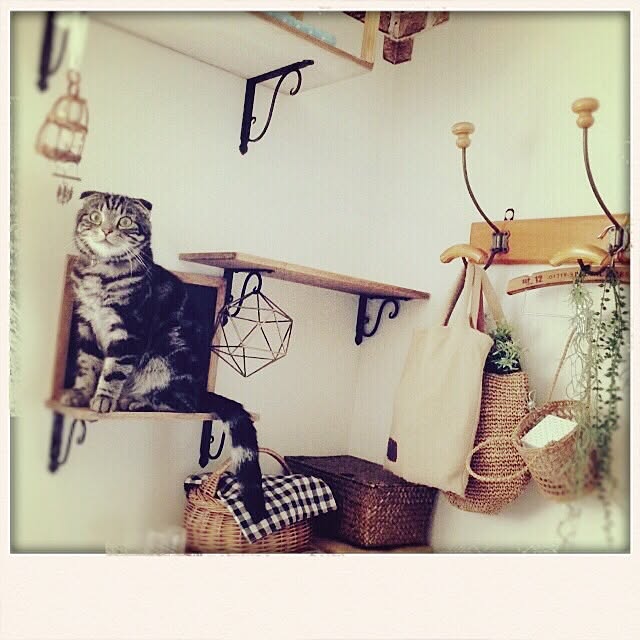 REINA612WORKSさんの実例写真