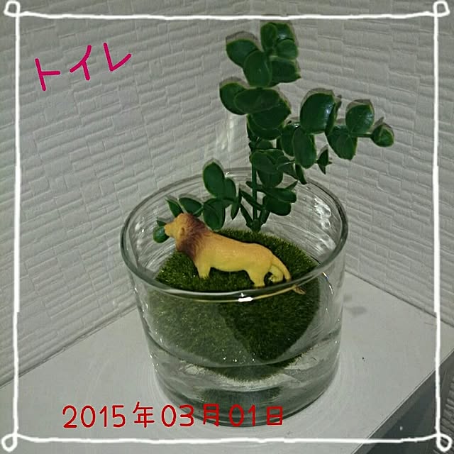 milk_yasuさんの実例写真
