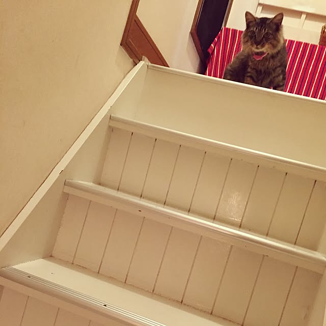 oniyomeさんの実例写真