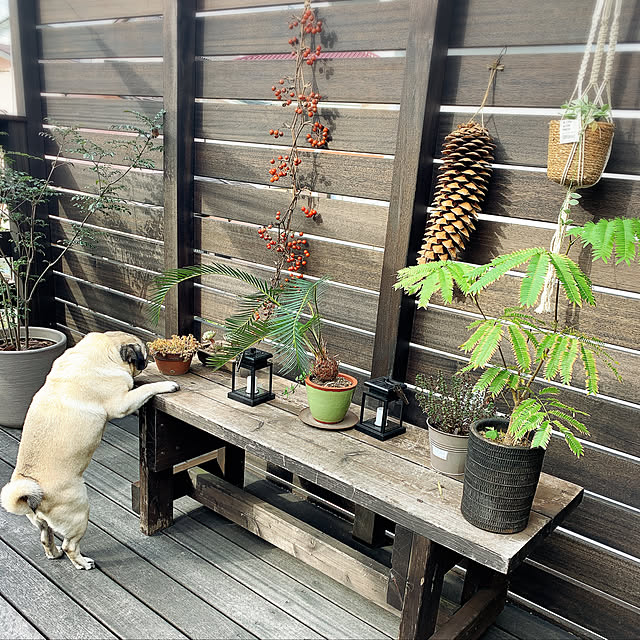 sctさんの実例写真