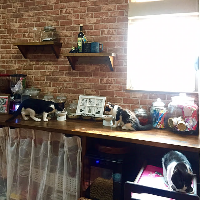 butachanさんの実例写真