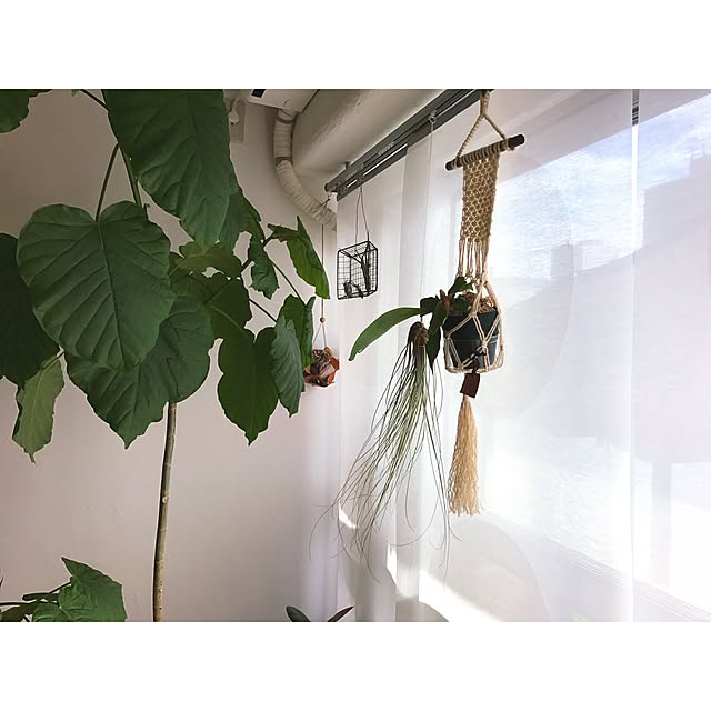 Hisayoさんの実例写真