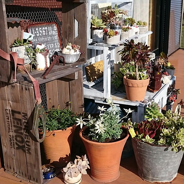 多肉寄せ植え トタン屋根プランターDIY のインテリア・手作りの実例 ｜ RoomClip（ルームクリップ） | RoomClip（ルームクリップ）