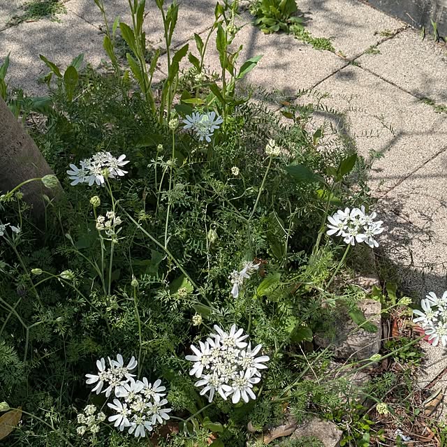 minnieさんの部屋