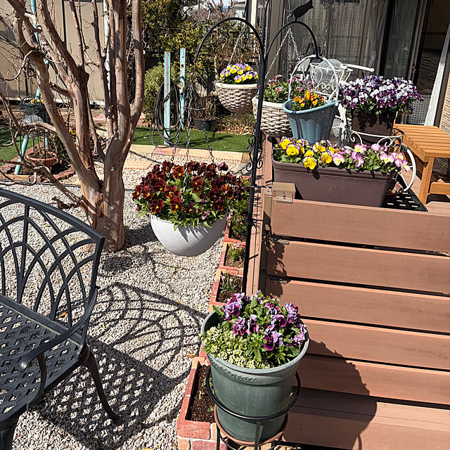 ronronさんの部屋