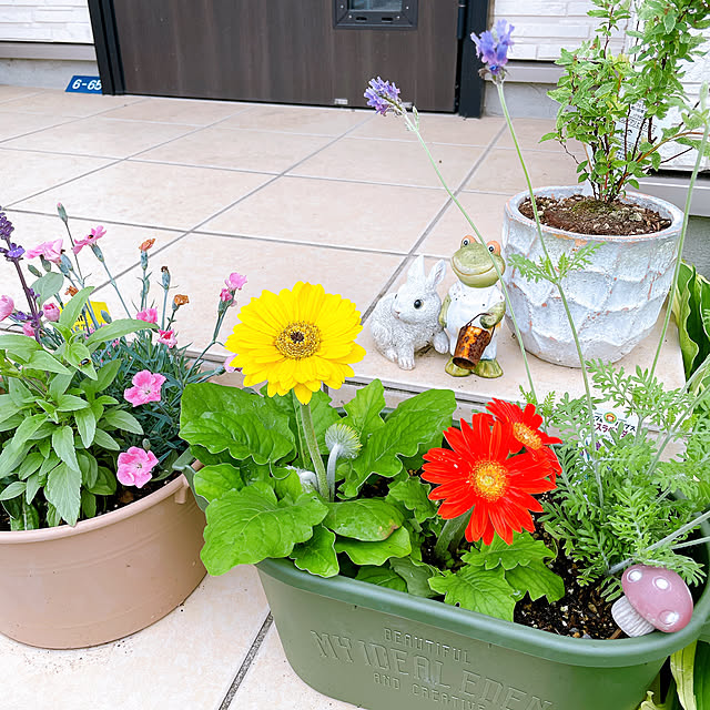 Saaさんの実例写真