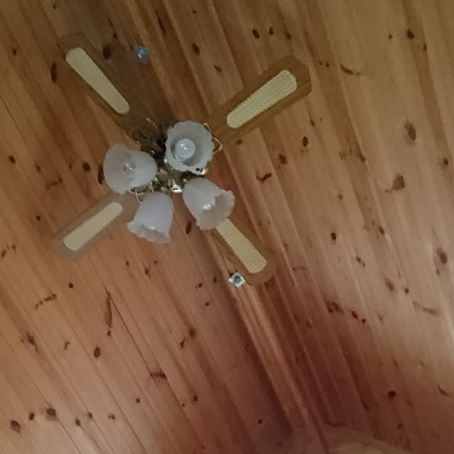Leonさんの実例写真
