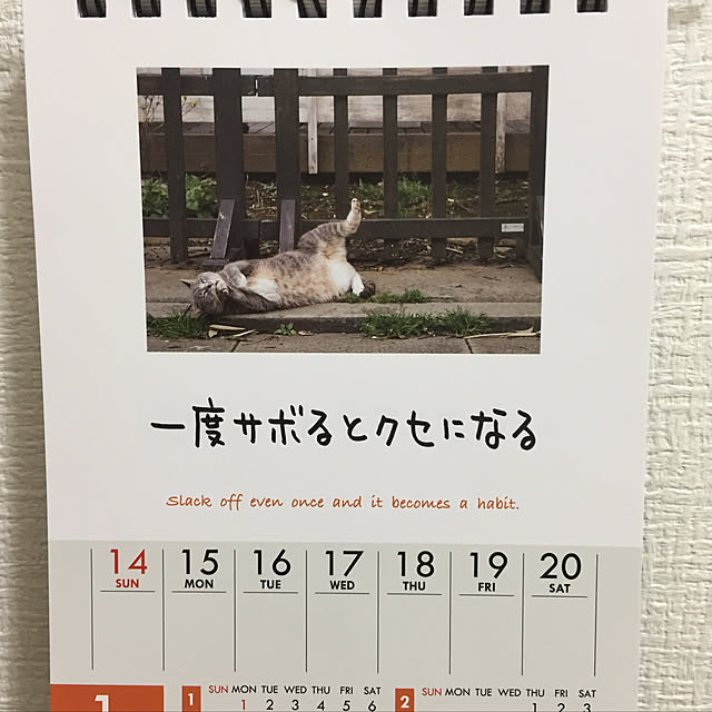 sleptcatさんの実例写真