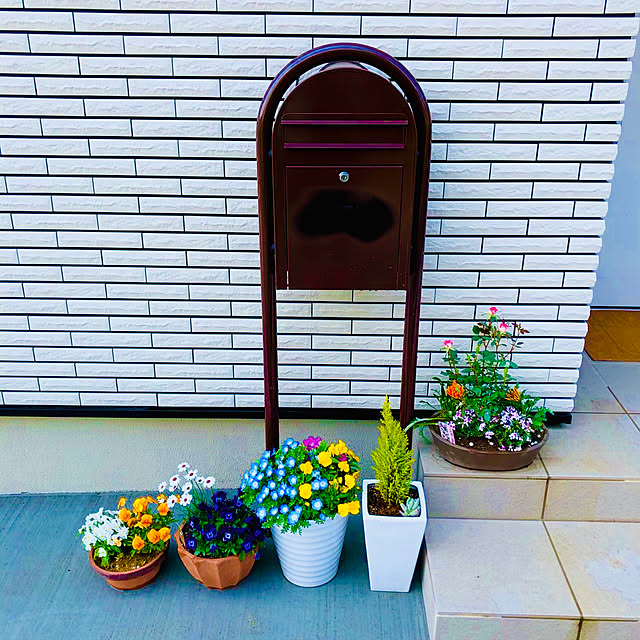 実例写真