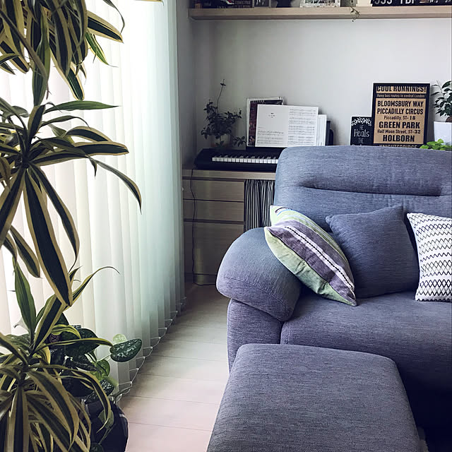 観葉植物/ニトリ/部屋全体のインテリア実例 - 2020-10-01 16:19:00